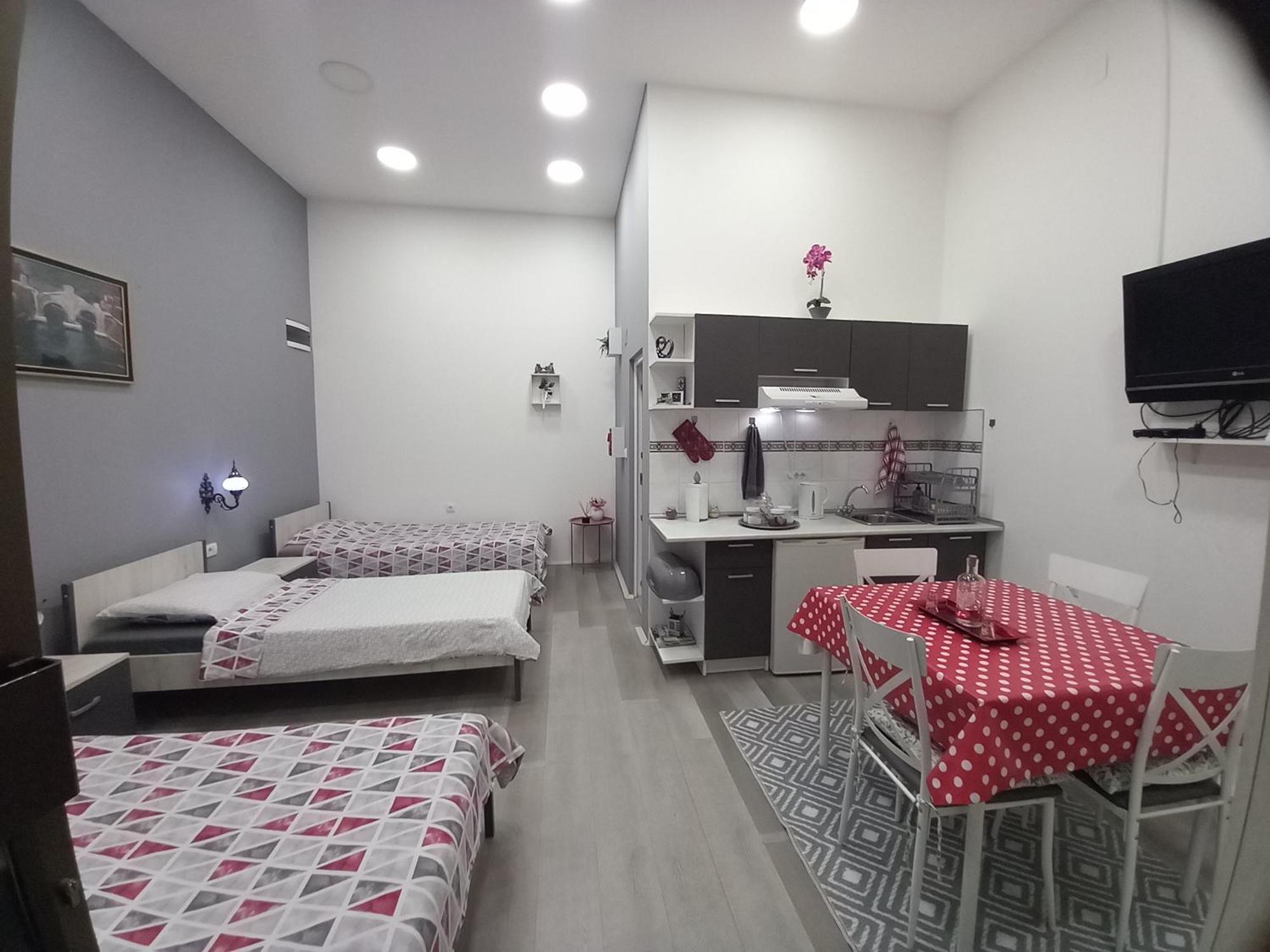 Apartman Stari Most - Old Bridge Bečej Pokój zdjęcie